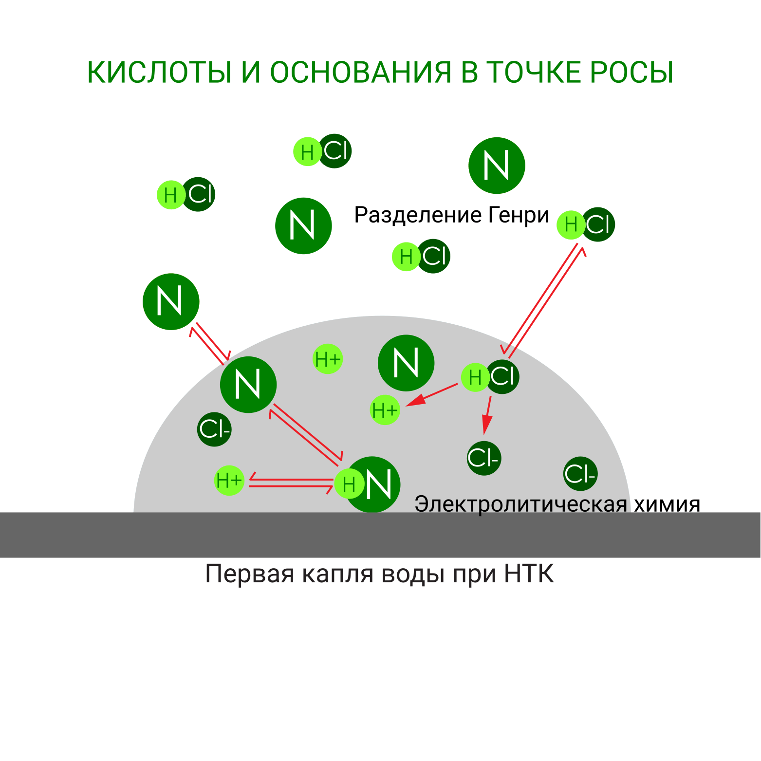 КИСЛОТЫ И ОСНОВАНИЯ В ТОЧКЕ РОСЫ